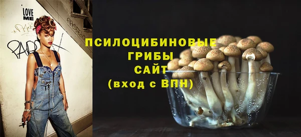 хмурый Арсеньев