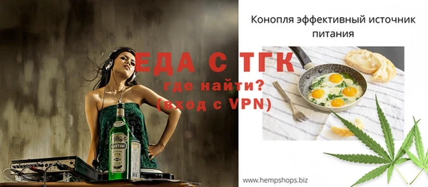 хмурый Арсеньев