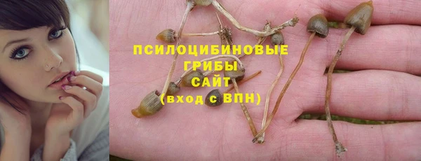 хмурый Арсеньев