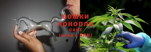 хмурый Арсеньев
