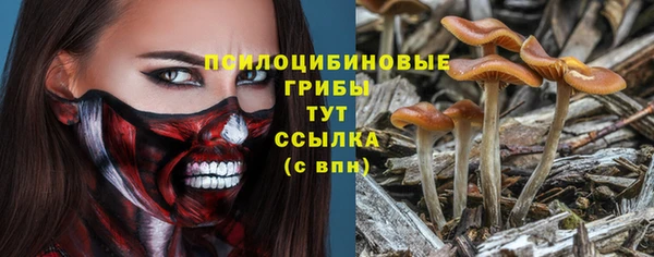метадон Армянск