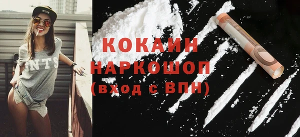 хмурый Арсеньев