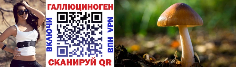 что такое наркотик  Переславль-Залесский  hydra рабочий сайт  Галлюциногенные грибы прущие грибы 